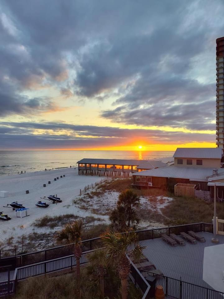 Sunbird Sunsets